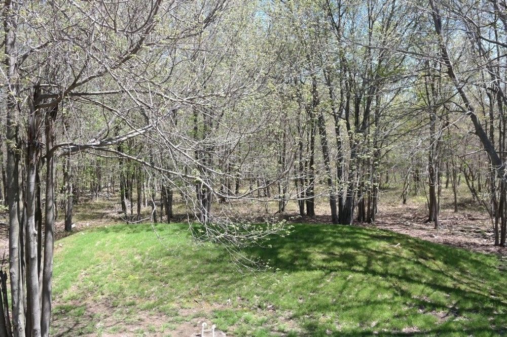 Rentals At Brier Crest Woods Lake Harmony Exterior foto